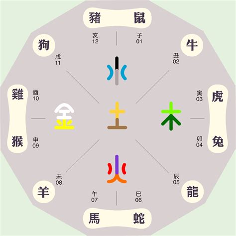 辰字五行